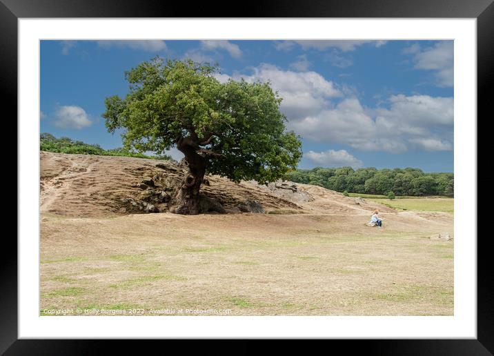 Lonely tree in a Nature field  Framed Mounted Print by Holly Burgess