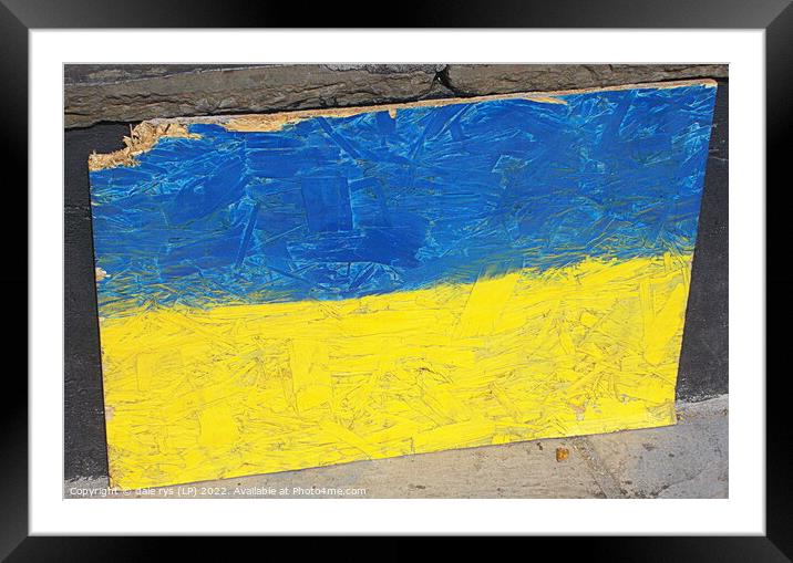 Ukraine flag  Framed Mounted Print by dale rys (LP)