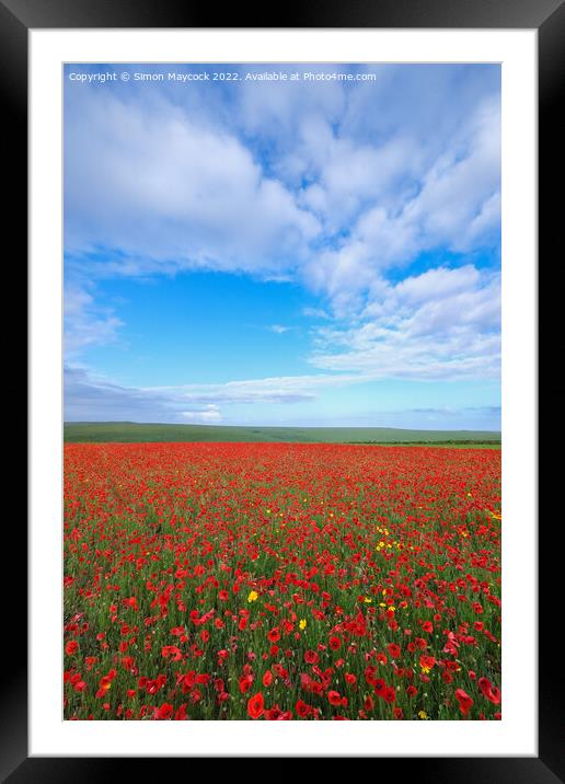 Field of Poppies at Crantock in Cornwall Framed Mounted Print by Simon Maycock
