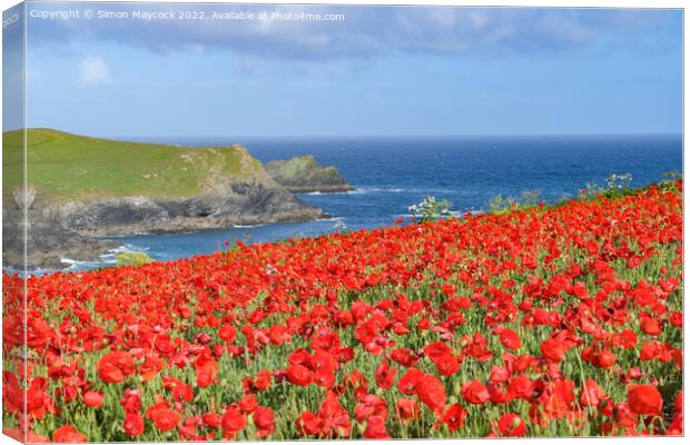 Field of poppies overlooking polly joke beach near Crantock, Cornwall Canvas Print by Simon Maycock
