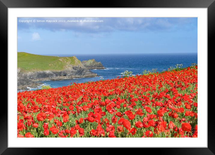 Field of poppies overlooking polly joke beach near Crantock, Cornwall Framed Mounted Print by Simon Maycock