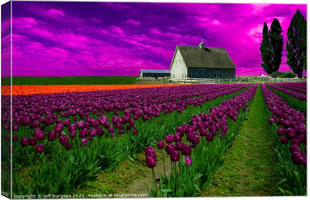Spring tulips in Skagit Valley Canvas Print by jeff burgess