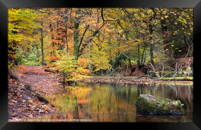 Quiet Reflections Framed Print by Roger Dutton