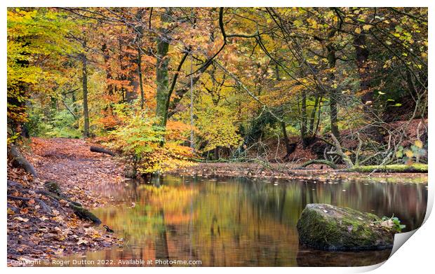 Quiet Reflections Print by Roger Dutton