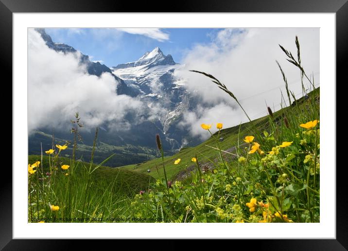 Majestic Alpine Landscape Framed Mounted Print by Richard North
