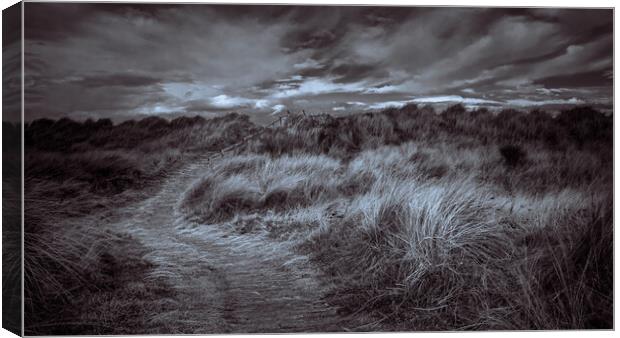 Findhorn Beach Path and Steps Canvas Print by John Frid
