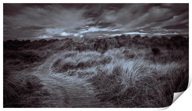 Findhorn Beach Path and Steps Print by John Frid