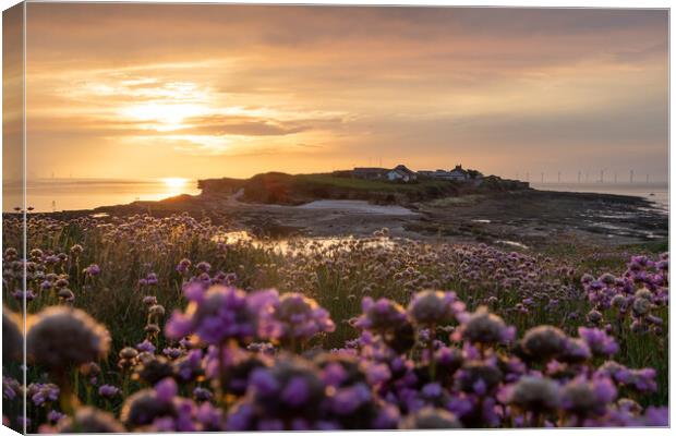 Hilbre Golden Thrift Sunset Canvas Print by Liam Neon