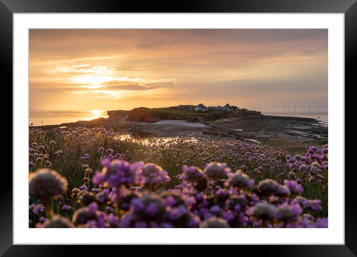 Hilbre Golden Thrift Sunset Framed Mounted Print by Liam Neon