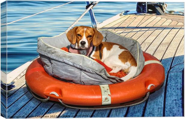 Seafaring Beagle Canvas Print by Alison Chambers
