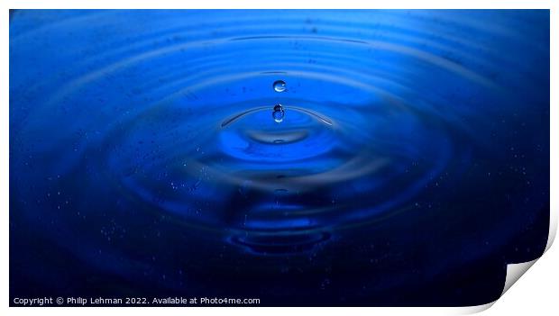 Blue Water Drops (18B) Print by Philip Lehman