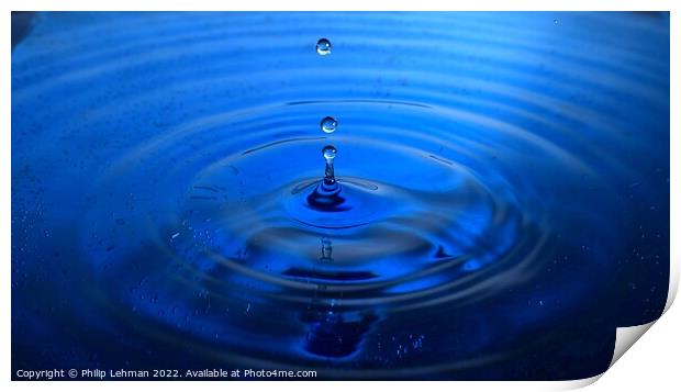 Blue Water Drops (15B) Print by Philip Lehman