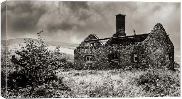 The old house Canvas Print by Clive Ingram