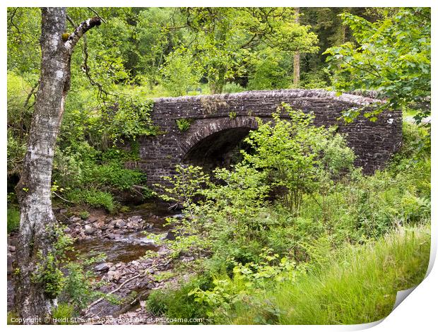 Stone Bridge Pont Cwm y Fedwen Print by Heidi Stewart
