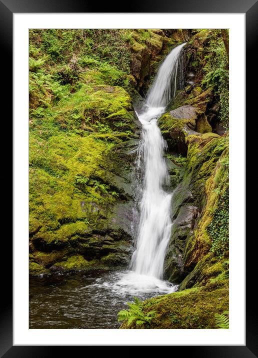 Majestic Dolgoch Falls Framed Mounted Print by Wendy Williams CPAGB