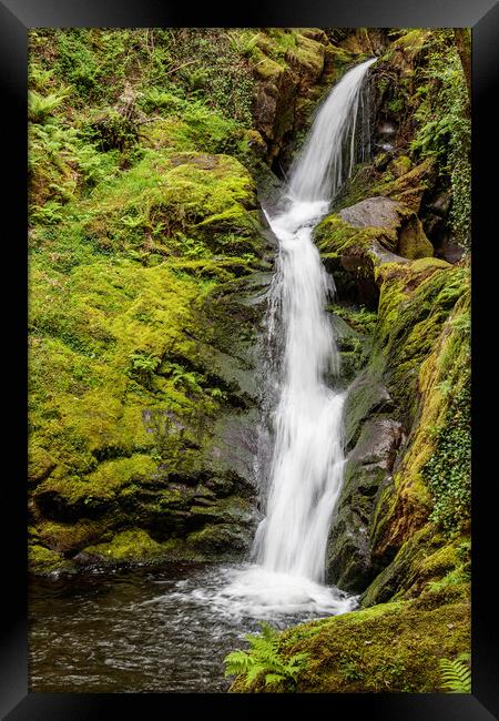 Majestic Dolgoch Falls Framed Print by Wendy Williams CPAGB