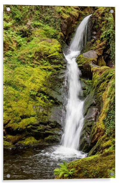 Majestic Dolgoch Falls Acrylic by Wendy Williams CPAGB