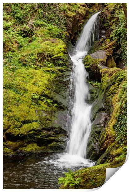 Majestic Dolgoch Falls Print by Wendy Williams CPAGB