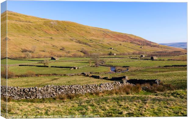 Cotterdale, Yorkshire Dales National Park Canvas Print by Louise Heusinkveld