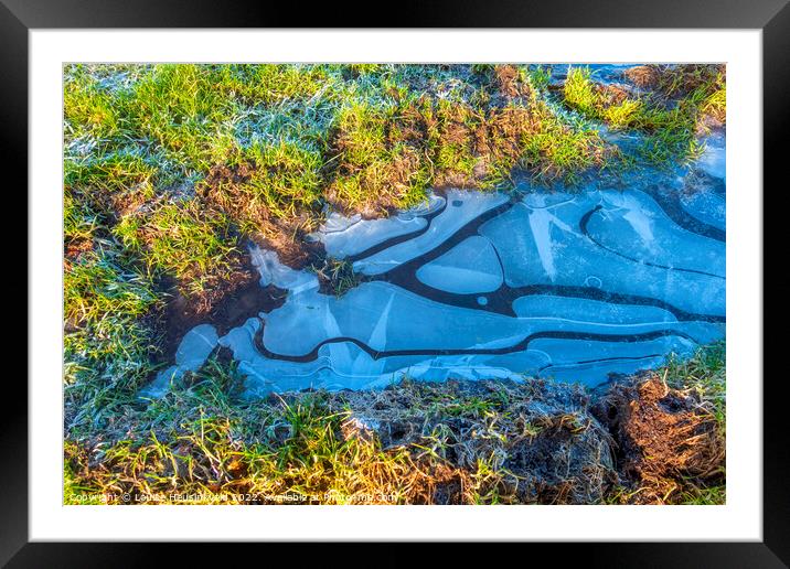 Frozen puddle in the grass Framed Mounted Print by Louise Heusinkveld