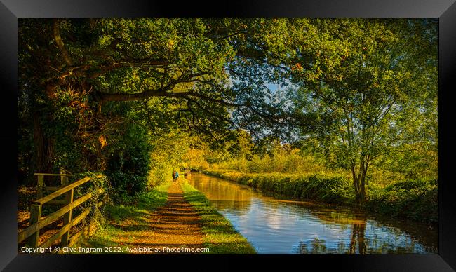 Autumn canal walk Framed Print by Clive Ingram