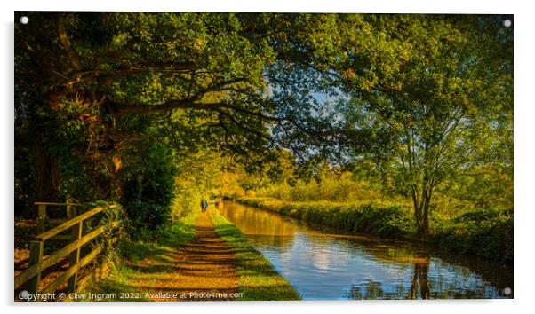 Autumn canal walk Acrylic by Clive Ingram
