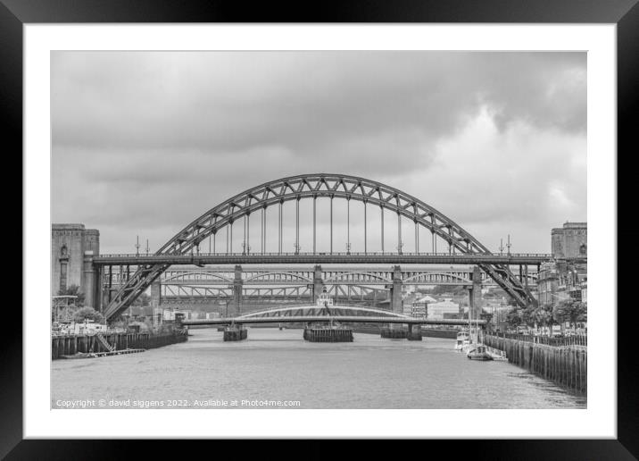 Tyne bridges Framed Mounted Print by david siggens