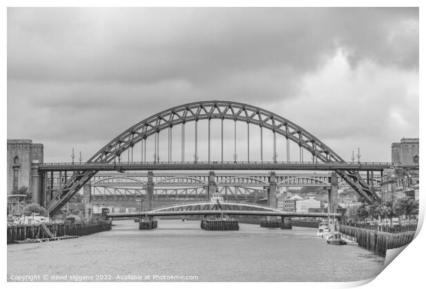 Tyne bridges Print by david siggens