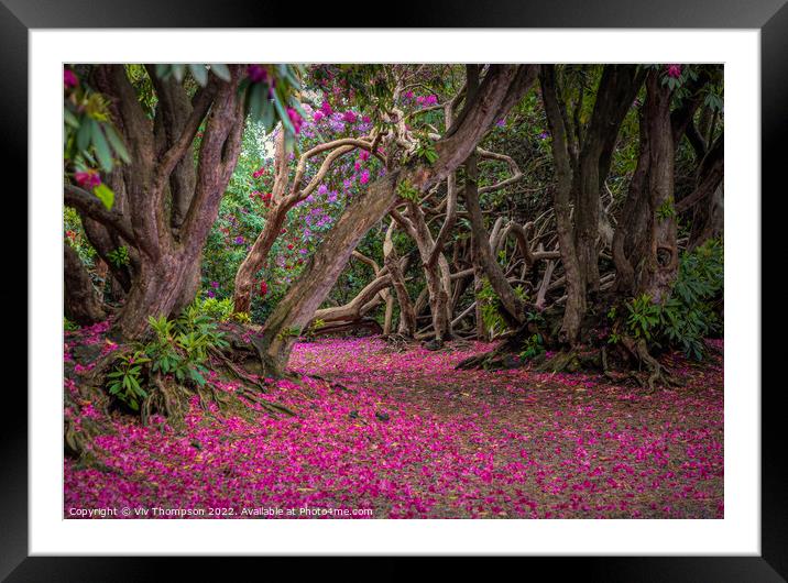 Enchanted Garden Path Framed Mounted Print by Viv Thompson