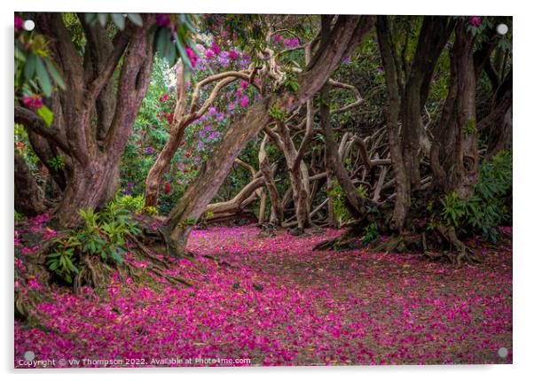 Enchanted Garden Path Acrylic by Viv Thompson