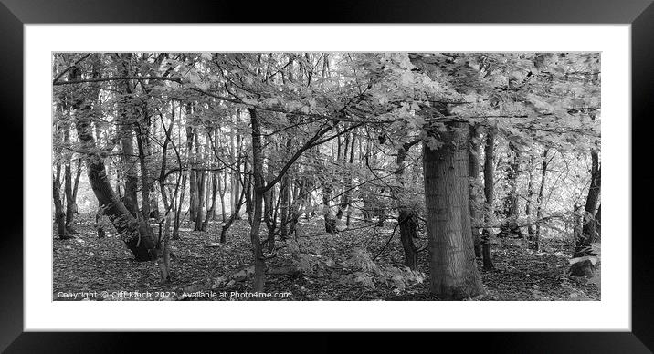 Deep in the wood Framed Mounted Print by Cliff Kinch