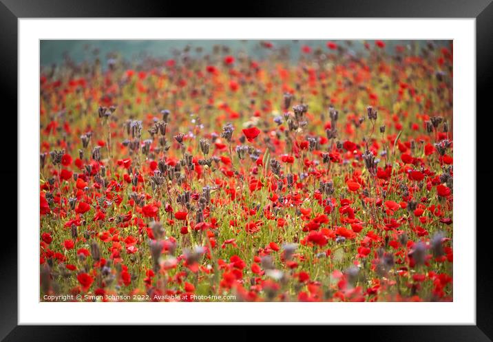 Cotswold Poppy field Framed Mounted Print by Simon Johnson