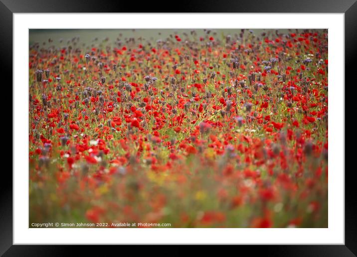 Cotswold Poppy Field Framed Mounted Print by Simon Johnson