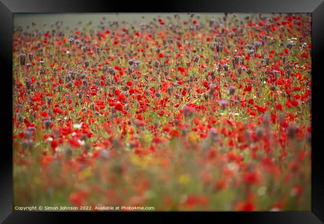 Cotswold Poppy Field Framed Print by Simon Johnson