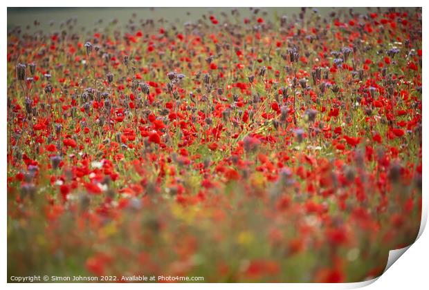 Cotswold Poppy Field Print by Simon Johnson