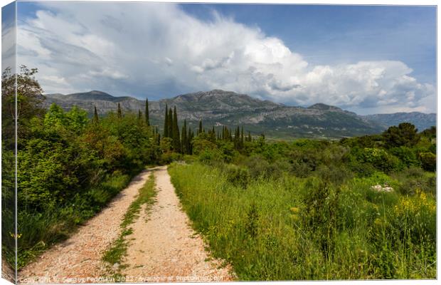 Road to valley. Mountain landscape with dramatic sky. A storm is coming from the mountains. Canvas Print by Sergey Fedoskin