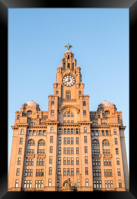 Looking up at the Royal Liver Building Framed Print by Jason Wells