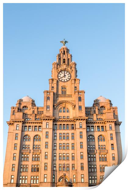 Looking up at the Royal Liver Building Print by Jason Wells