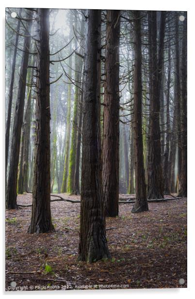 A woodland scene with fog Acrylic by Paulo Rocha