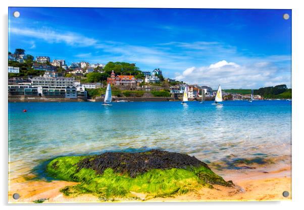 Salcombe Estuary Sailing Race Acrylic by Paul F Prestidge