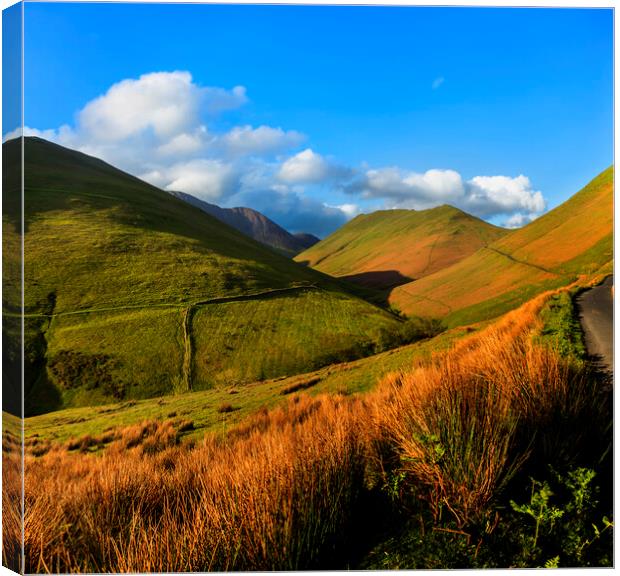 Newlands (Hause) Pass, Buttermere, Cumbria Canvas Print by Maggie McCall