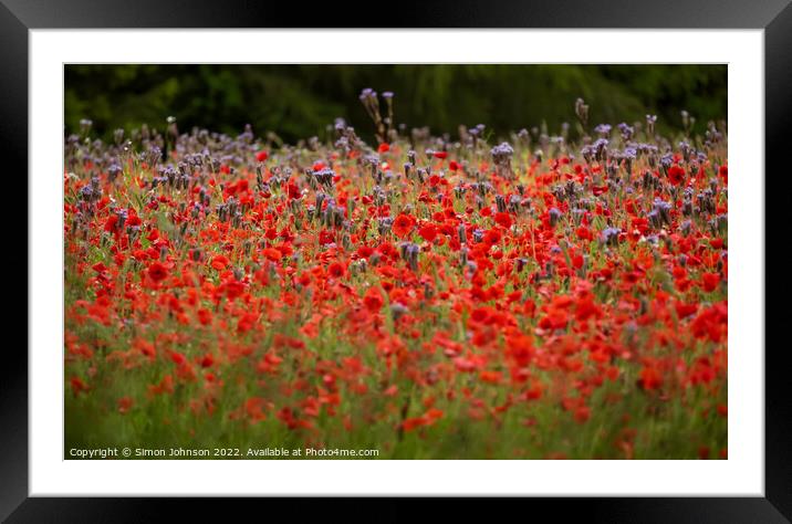 Cotswold Poppy Field Framed Mounted Print by Simon Johnson