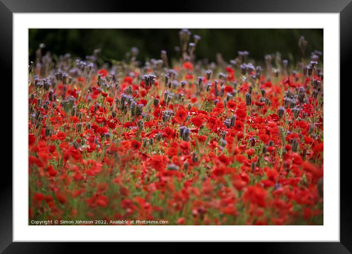 Cotswold Poppies Framed Mounted Print by Simon Johnson