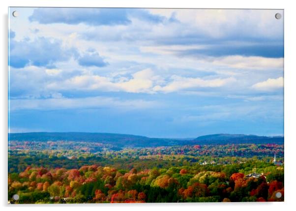 Gatineau Hills, Quebec, Canada Acrylic by Stephanie Moore