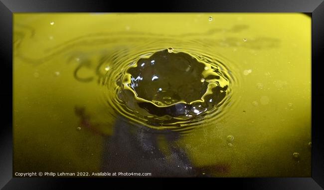 Yellow Background Water Drops (12A) Framed Print by Philip Lehman