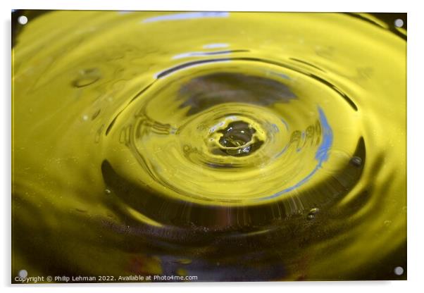 Yellow Background Water Drops (3A) Acrylic by Philip Lehman