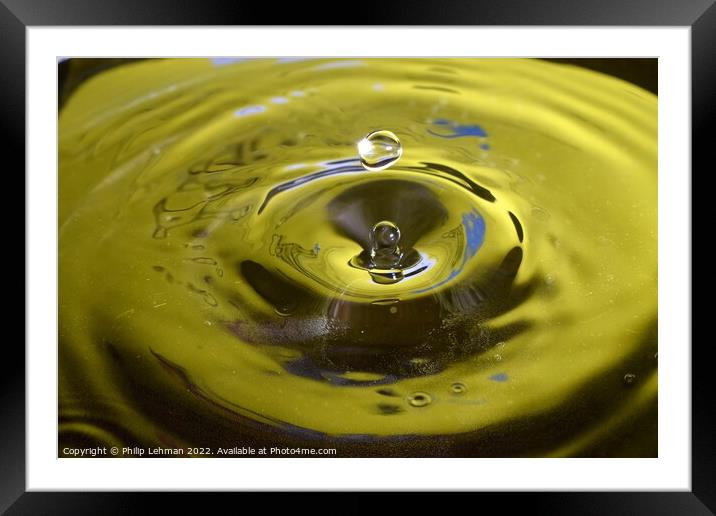 Yellow Background Water Drops (8A) Framed Mounted Print by Philip Lehman