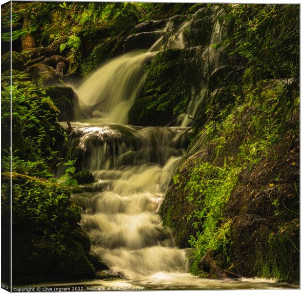 Badger Dingle waterfall Canvas Print by Clive Ingram