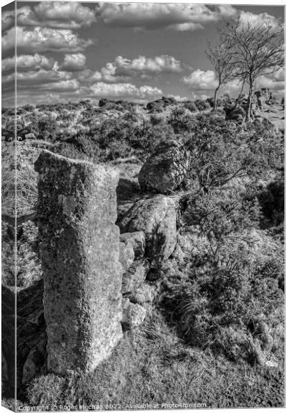 Windswept Ruins of Dartmoor Canvas Print by Roger Mechan