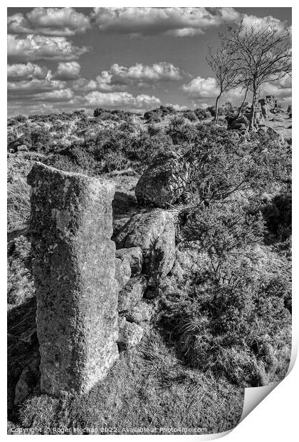 Windswept Ruins of Dartmoor Print by Roger Mechan